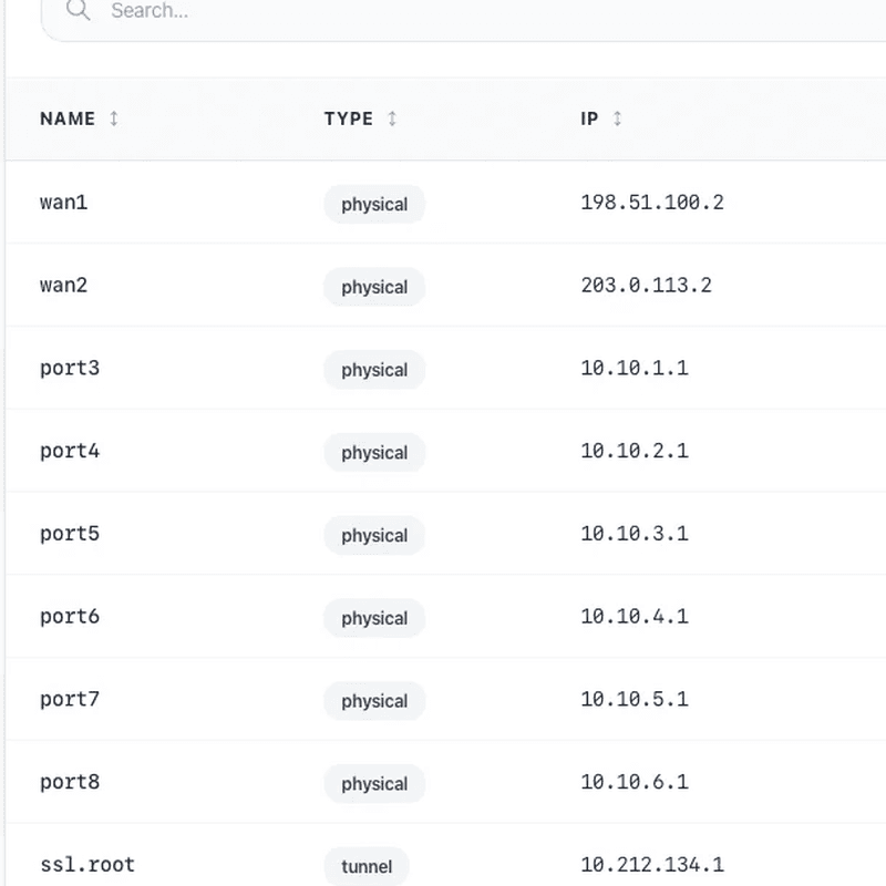 Network interfaces with IP assignments